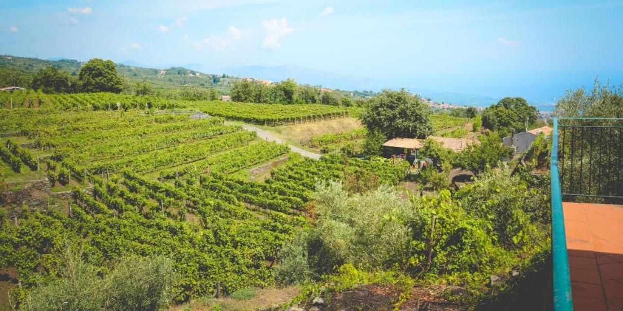 Agriturismo Le Case Del Merlo Milo Exterior foto